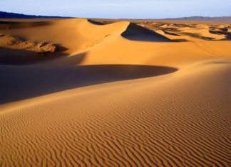 Olgoj chorchoj – démon pouště Gobi Pouštní krajina pouště Gobi v Mongolsku | luq/123RF.com