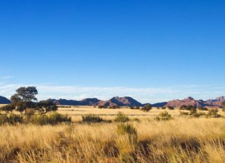 Jižní Afrika – cestování po jižním cípu afrického kontinentu Africká savana na jihu Afriky | jaysi/123RF.com