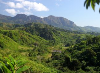 Na cestě po Madagaskaru Krajina na Madagaskaru | aaabbbccc/123RF.com