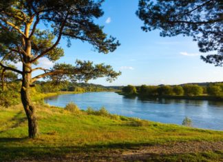 Litva – čilá myš Pobaltí Podzimní krajina v okolí řeky Neris v Litvě | dacosta/123RF.com