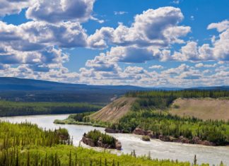 Yukon – oblast, ve které proběhla zlatá horečka Řeka Yukon v Kanadě | pilens/123RF.com