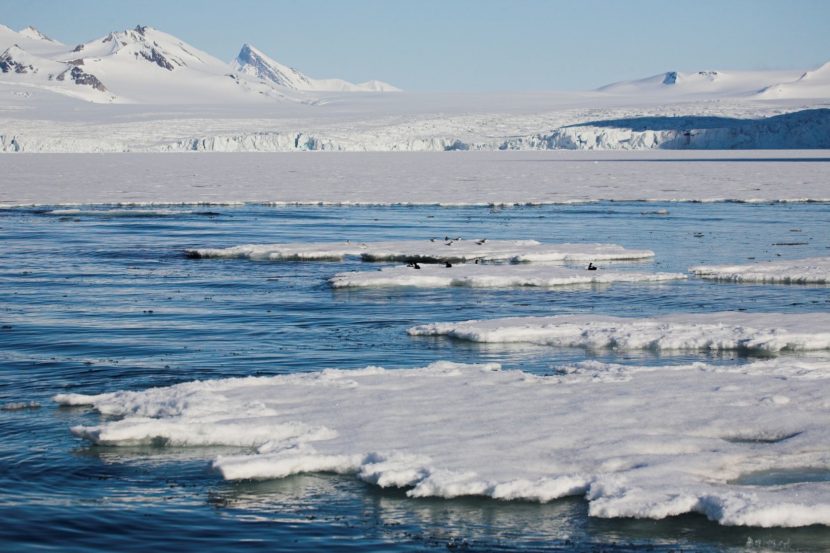 Krajina na Antarktidě | erectus/123RF.com