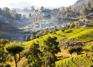 Čerti ze Srí Lanky Krajina na Srí Lance | kamchatka/123RF.com