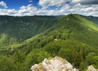 Koně z Muráňské planiny Muráňská planina na Slovensku | tomas1111/123RF.com