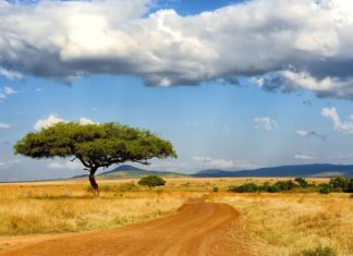 Sólo pro tatru – tatrou skrze Afriku Africká krajina | byrdyak/123RF.com