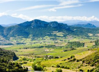 Katarské hrady – romantické středověké zříceniny v kraji Languedoc – Roussillon Krajina regionu Languedoc-Roussillon | phbcz/123RF.com