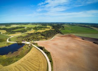 Lotyšsko s duší zakletou v písních Lotyšská venkovská krajina | janka3147/123RF.com