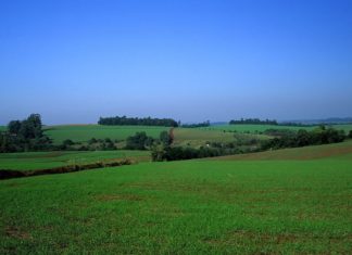 Vladislav Forejt – krajánek z pamp Pampy v Argentině | brsaints/123RF.com