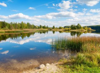 Estonsko v rozpuku Estonská krajina | arsty/123RF.com