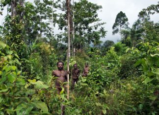 Stromoví lidé odění jen do kostí Korowajové | surz/123RF.com