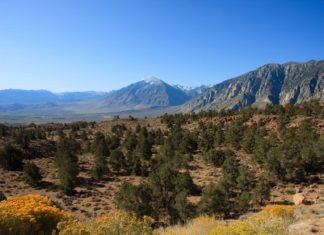 Jihozápad USA aneb na kole do pekla i do nebe Krajina v okolí pohoří Panamint | sue120502/123RF.com