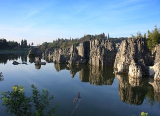 Shilin – „Kamenný les“ v jižní Číně Vápencové formace v Národním parku Shilin | aki/123RF.com