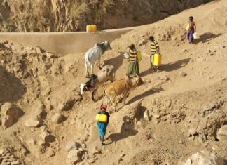 Voda v Etiopii – souboj na život a na smrt Etiopské ženy s nádržemi na vodu | ajlber/123RF.com