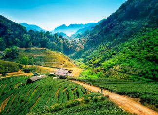 „Nón Wat Dáj” aneb o cestování po Thajsku Thajská krajina | thegoatman/123RF.com