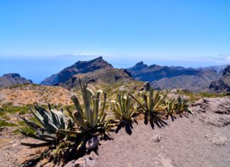 Skončete s diskriminací králíků na Kanárech Krajina na Kanárských ostrovech | underworld/123RF.com