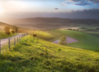 Anglie – základní turistické informace Anglická krajina | veneratio/123RF.com