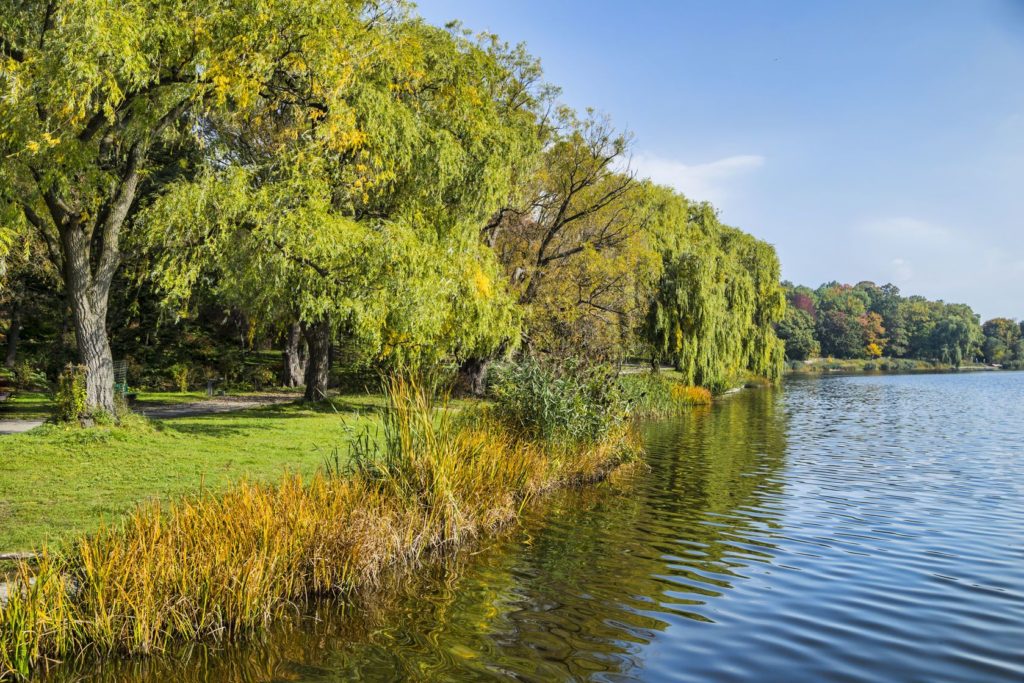 High Park v Torontu | darlenemunro/123RF.com