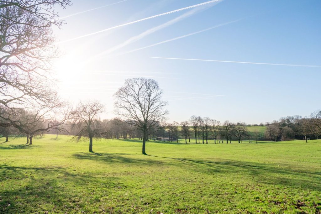 Roundhay Park v Leedsu | moomusician/123RF.com