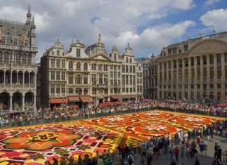 Kam v Bruselu – zajímavá místa a památky Květinový koberec v Bruselu | mchudo/123RF.com