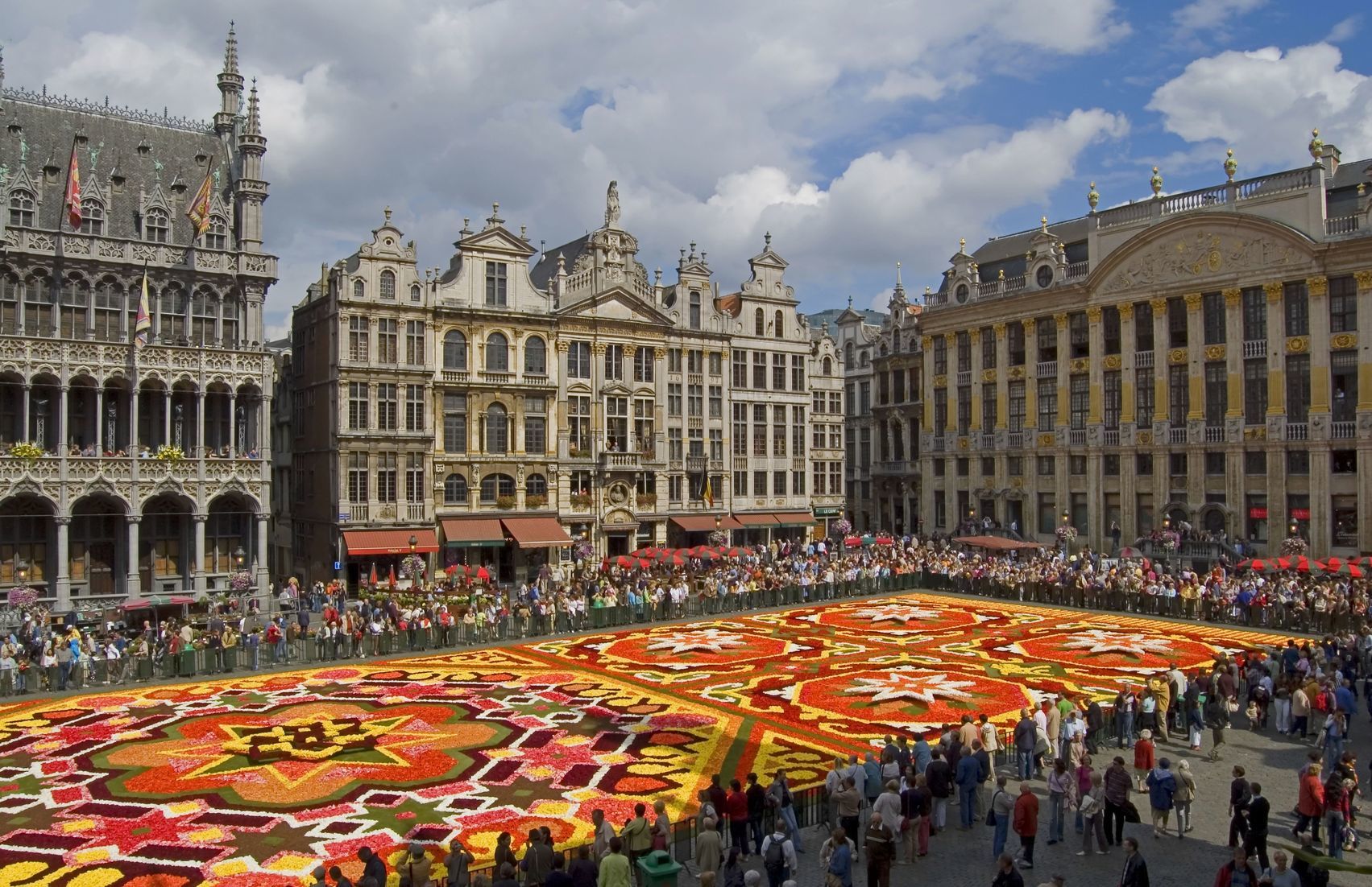 Květinový koberec v Bruselu | mchudo/123RF.com