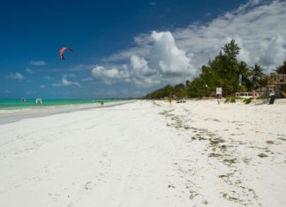 Kam na Zanzibaru – zajímavá místa a památky aneb kam se vydat a co vidět? Pláž Paje na Zanzibaru | temis/123RF.com