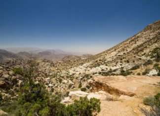 Zajímavosti Jordánska – zajímavá místa a památky k vidění Horská krajina v Jordánsku | piccia/123RF.com