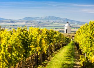 Zajímavosti České republiky – zajímavá místa a památky k vidění Kaple s vinicí v blízkosti Velkých Bílovic v České republice | phbcz/123RF.com