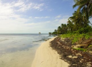Zajímavosti Belize – památky a zajímavá místa k navštívení Karibská pláž na pobřeží Belize | bbourdages/123RF.com