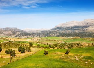 Kam v Andalusii – zajímavá místa a památky, které musíte navštívit Krajina Andalusie v jižním Španělsku | rognar/123RF.com