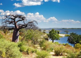 Zajímavosti Botswany – zajímavá místa a památky k vidění Krajina v africké zemi Botswana | muha/123RF.com