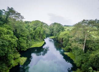 Zajímavosti v Konžské republice – památky a zajímavá místa k navštívení Krajina v Konžské republice | edeantoine/123RF.com