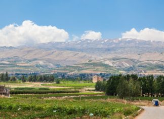 Zajímavosti v Libanonu – zajímavá místa a památky k vidění Krajina v Libanonu | axel2001/123RF.com