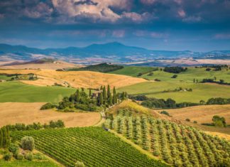 Zajímavosti Itálie – památky a zajímavá místa k navštívení Malebná krajina Toskánska v Itálii | jakobradlgruber/123RF.com