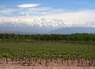 Zajímavosti v Argentině – památky a zajímavá místa k navštívení Vinice a horská krajina v Argentině | aaabbbccc/123RF.com