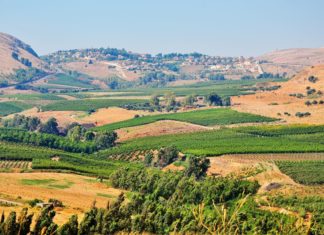 Zajímavosti v Izraeli – památky a zajímavá místa k navštívení Krajina v Izraeli | larisap/123RF.com