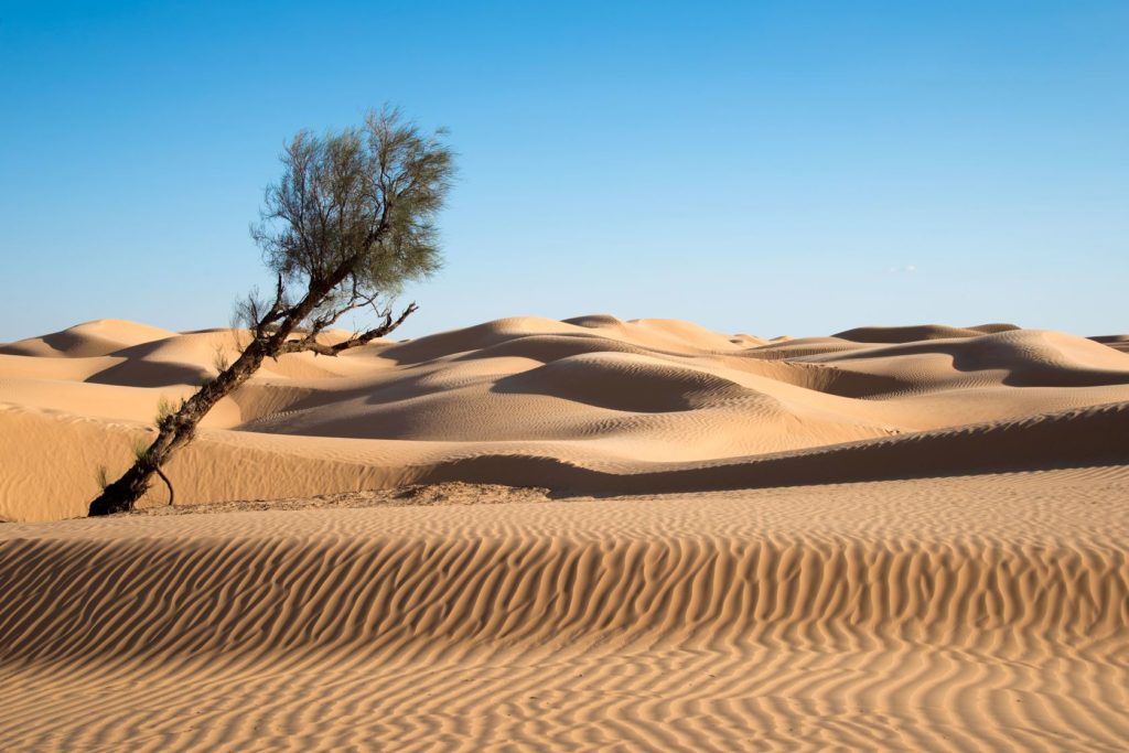 Písečné duny v poušti Sahary v Tunisku | delcreations/123RF.com