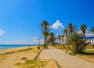 Zajímavosti v Tunisku – památky a zajímavá místa k navštívení Pláž v Tunisku | eagle2308/123RF.com